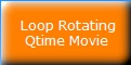 Loop Picture